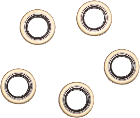 Double Lip Seal 1969 - 1999