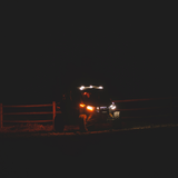 Turn Signal Kit - Amber - White Running Lights - RZR 2020 - 2025