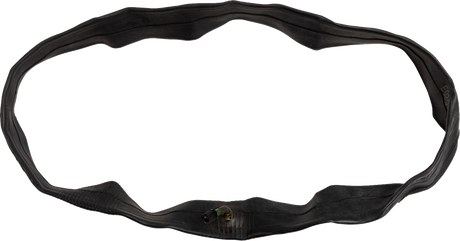 RS-16 E-Bike Inner Tube - 16\" - Front/Rear