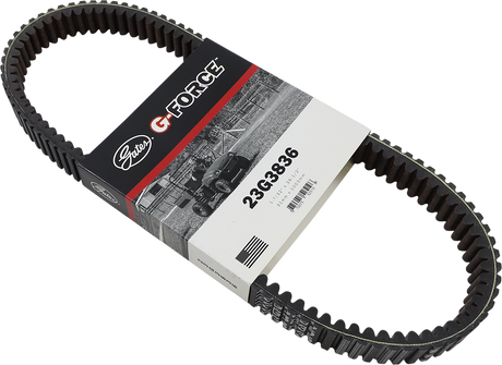 Drive Belt 2009 - 2019