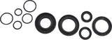 Oil Seal Kit - Kawasaki 1978 - 1979