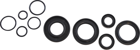 Oil Seal Kit - Kawasaki 1978 - 1979
