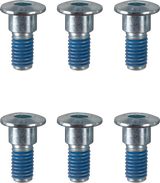 Bolts - Rotor/High Tensile - Rear - 6 Pack 1999 - 2024