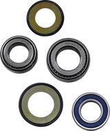 Steering Stem Bearing 2008 - 2022