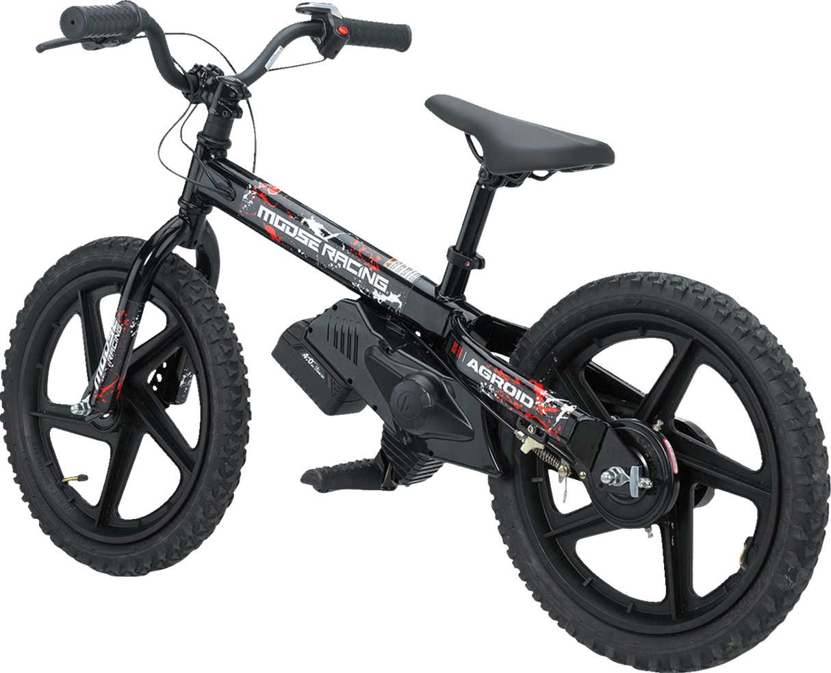 RS-16 E-Bike - Agroid - Balance