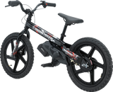 RS-16 E-Bike - Agroid - Balance