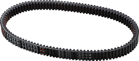 Drive Belt 2014 - 2023