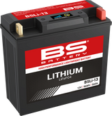 Lithium Battery - BSLi-13 1969 - 2021