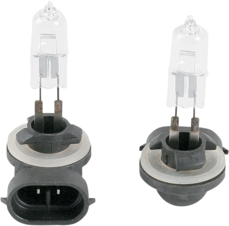 Bulb - PJ13 Clear - 50 W - Pair