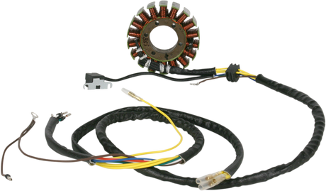 Stator - Polaris 2004 - 2006