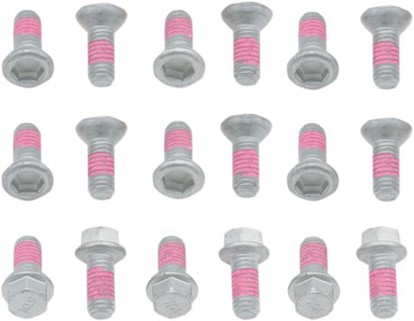 Bolt - Rotor - 18 Pack - Suzuki 125/250 2001 - 2008