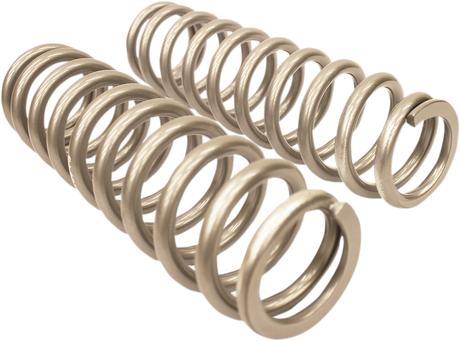 Rear Shock Springs - Silver 2003 - 2014