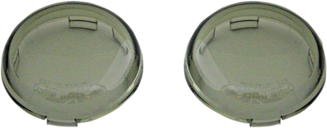 ProBEAM® Replacement Lenses - Smoke 2000 - 2024