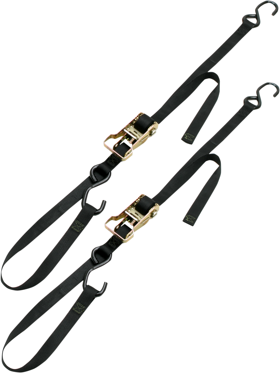 Integra Rat Pak Tie-Downs - 1\" x 6\' - Black