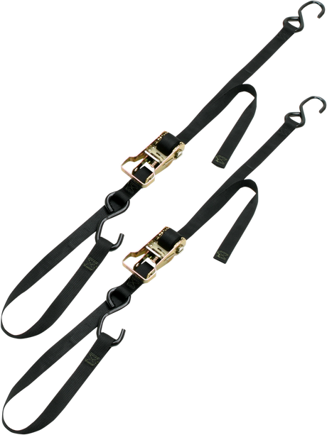 Integra Rat Pak Tie-Downs - 1\" x 6\' - Black