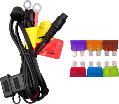 Harness - 12 V - Battery