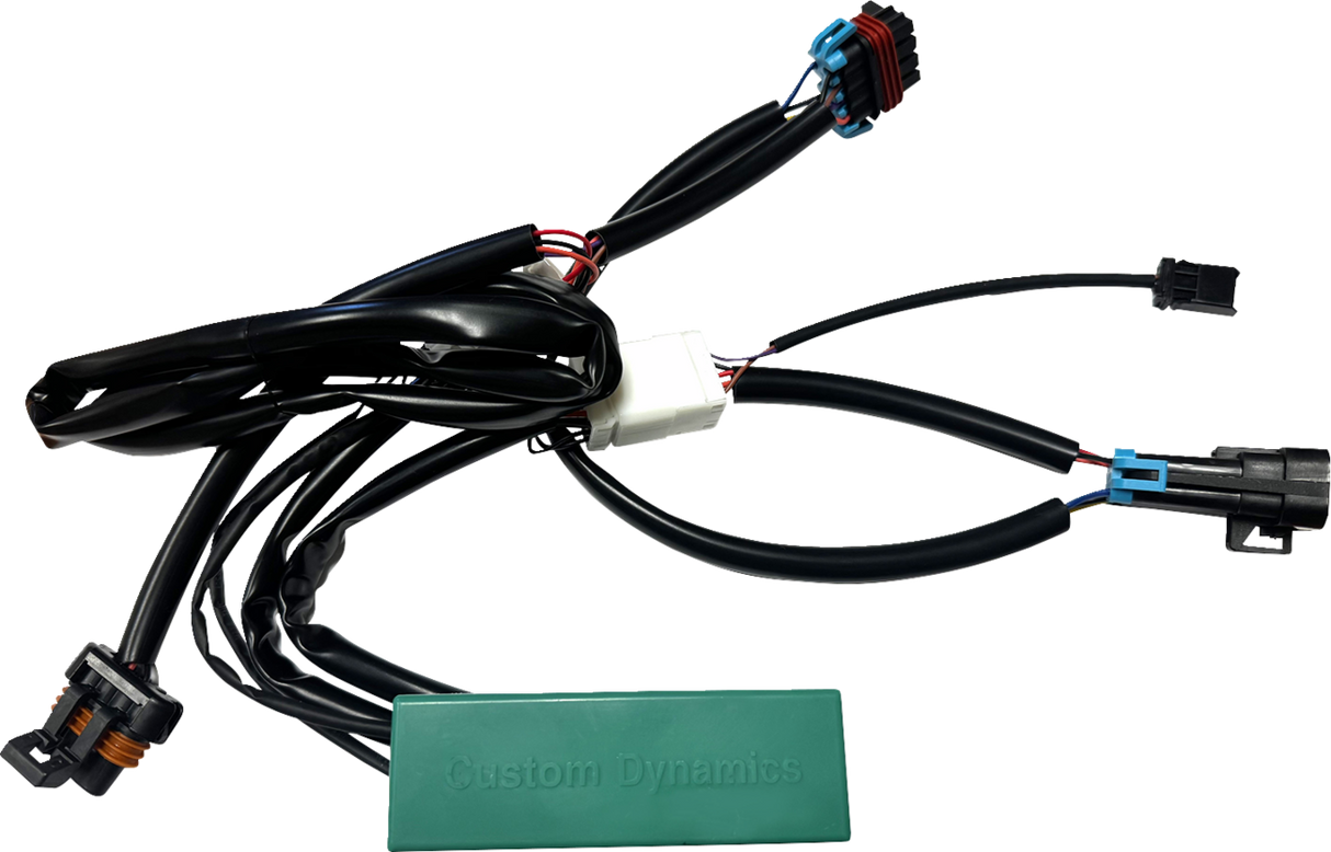 Module - Run/Turn/Brake - RZR 2015 - 2024