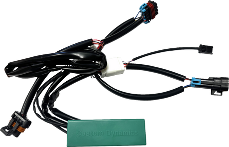 Module - Run/Turn/Brake - RZR 2015 - 2024