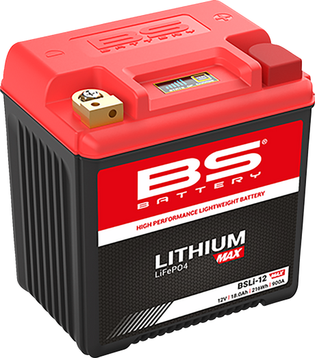 Lithium Battery - BSLi-12 Max 1973 - 2024