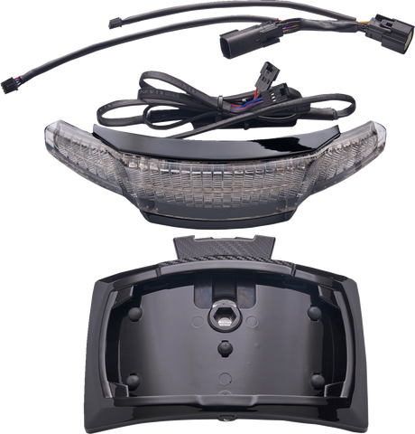 Taillight/License Plate Holder - Light Smoke Lens - Black 2014 - 2022