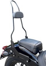 Quick Release Sissy Bar - 23\" - With Pad - Gloss Black 2018 - 2023