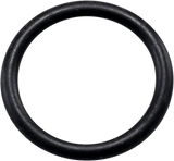 Drain Plug O-Ring 2015 - 2020