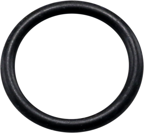 Drain Plug O-Ring 2015 - 2020