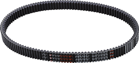 Drive Belt 2018 - 2022