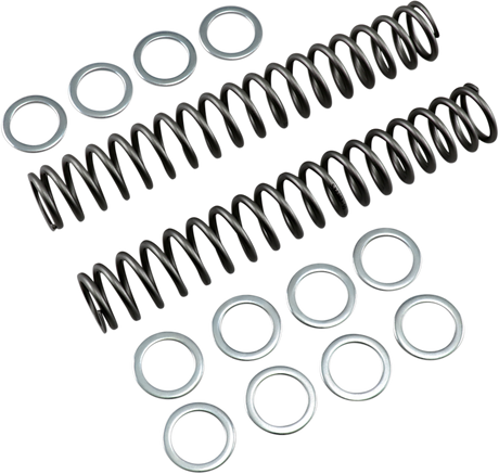 Fork Springs - 0.95 kg/mm 1999 - 2022