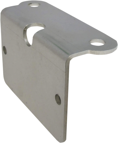 Regulator Mount 1936 - 1999