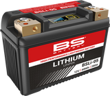 Lithium Battery - BSLi-05 1969 - 2021