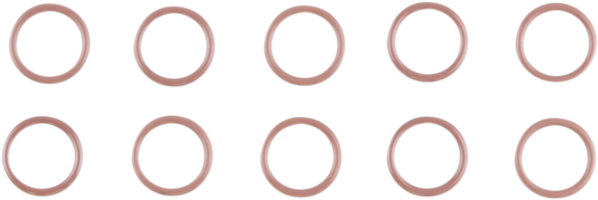 O-Ring - 10 Pack 2017 - 2024