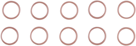 O-Ring - 10 Pack 2017 - 2024