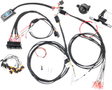 Street Kit - UTV - Rocker Switches