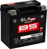Battery - BGZ16HL 2004 - 2025