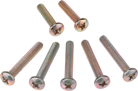 Clutch Cover Screw - Polaris 1989 - 1996