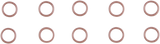 O-Ring - 10 Pack 2017 - 2024