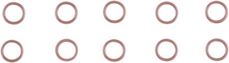 O-Ring - 10 Pack 2017 - 2024