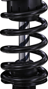 Twin Shocks - 12\" - Rebound Adjustable - STX36 Blackline (HD776) 1990 - 2024