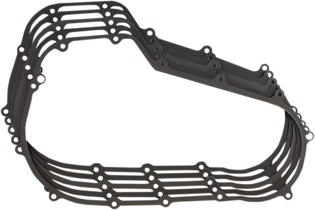 Primary Gasket 2017 - 2024