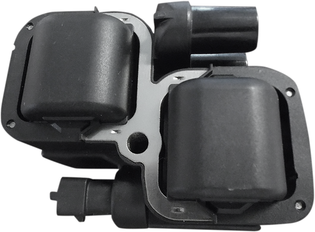 Ignition Coil - Black - Indian 2008 - 2022
