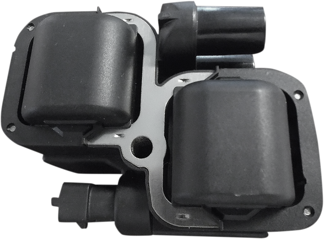 Ignition Coil - Black - Indian 2008 - 2022