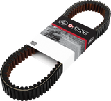 Drive Belt 2014 - 2023