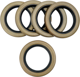 Main Shaft Seal - 5 Pack 1936 - 1979