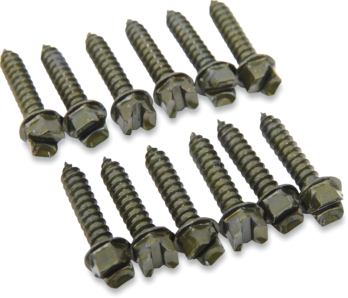 Ice Screws - 1\" - 250 Pack