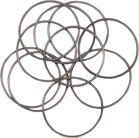 Inspection Cover O-Ring 1991 - 2003