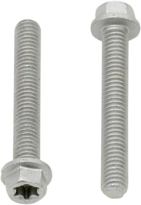 Bolt - European - M6 x 40 - 10-Pack