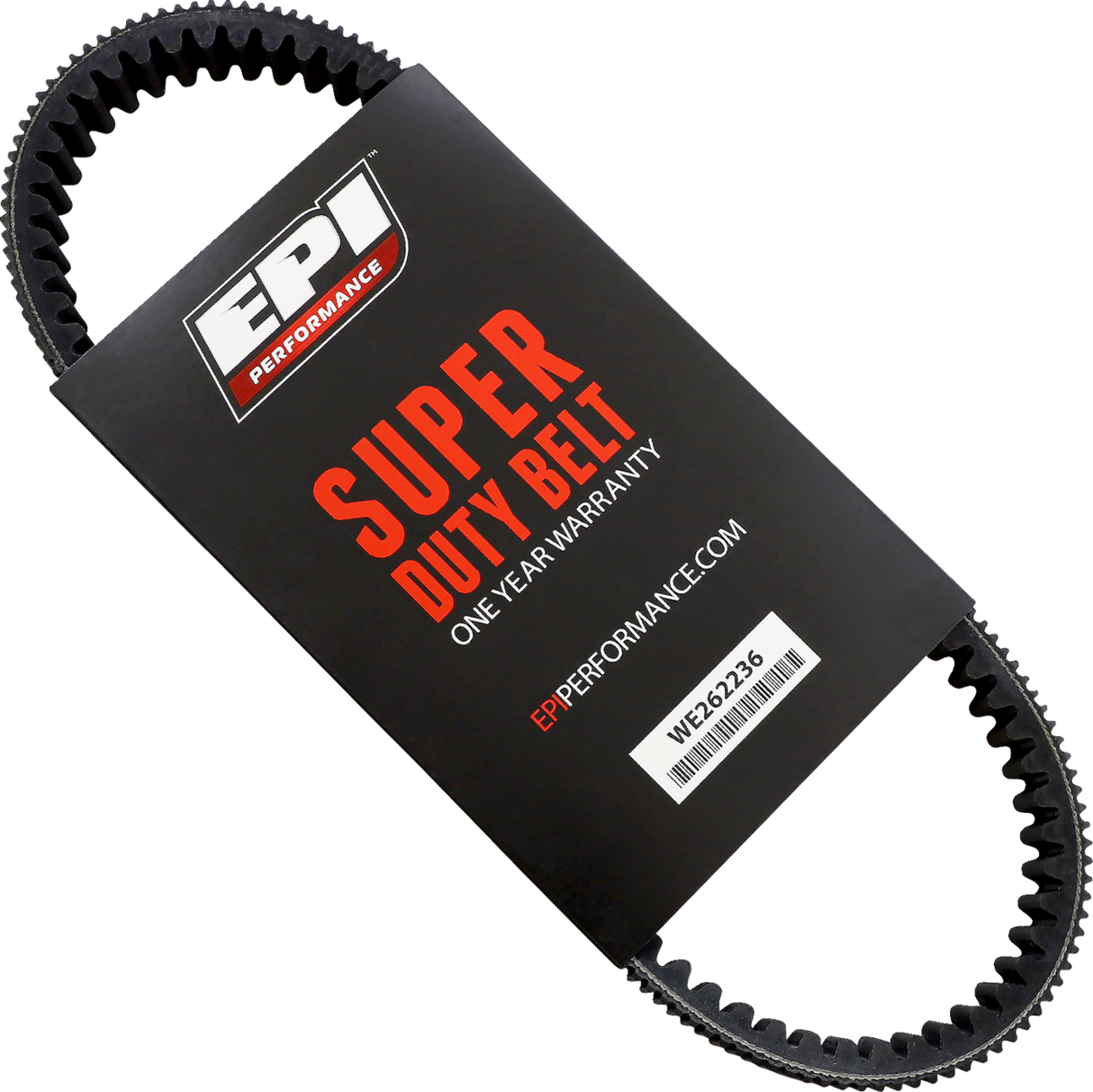 Drive Belt 2006 - 2023