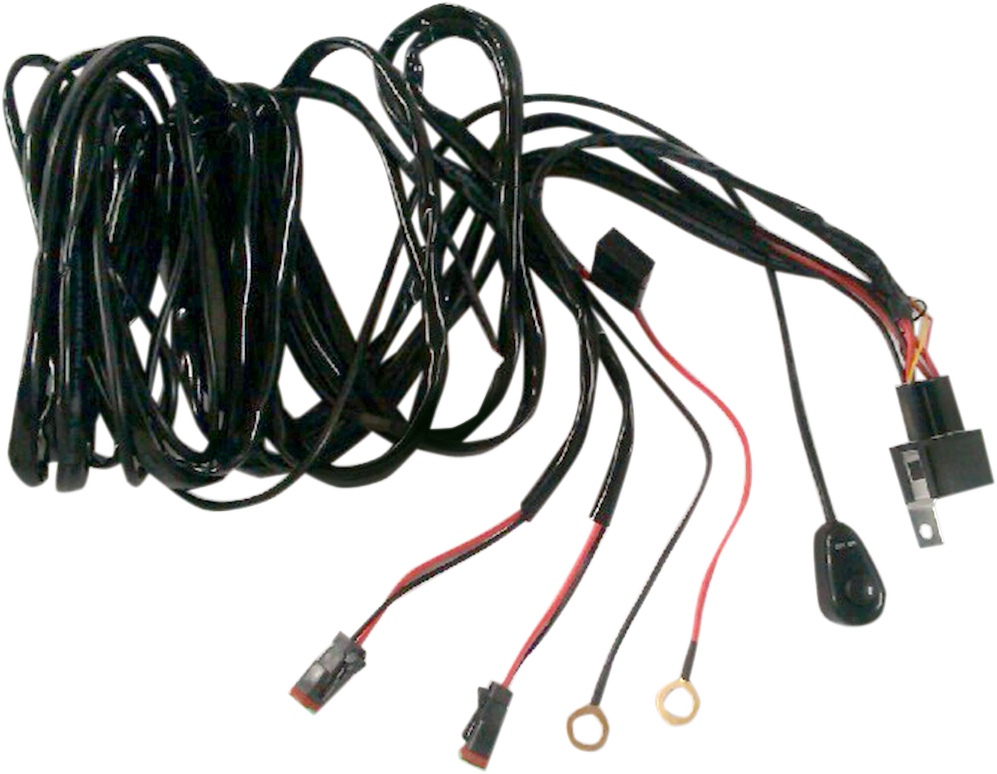 Wiring Harness with Switch