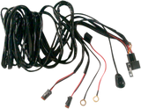 Wiring Harness with Switch
